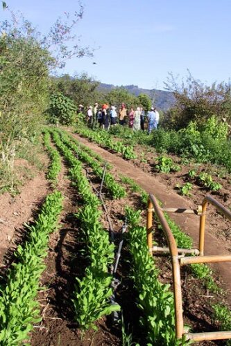 Consilience Enhances Resilience: A Key Element of CSA Farms